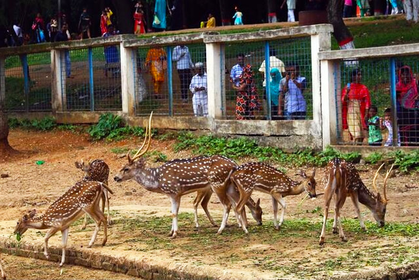 Bangladesh National Zoo