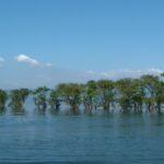 Tanguar Haor