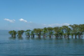 Tanguar Haor