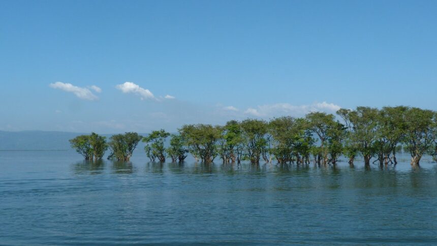 Tanguar Haor