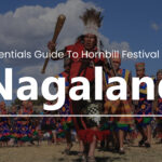 Essentials Guide to Hornbill Festival of Nagaland