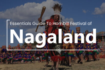 Essentials Guide to Hornbill Festival of Nagaland