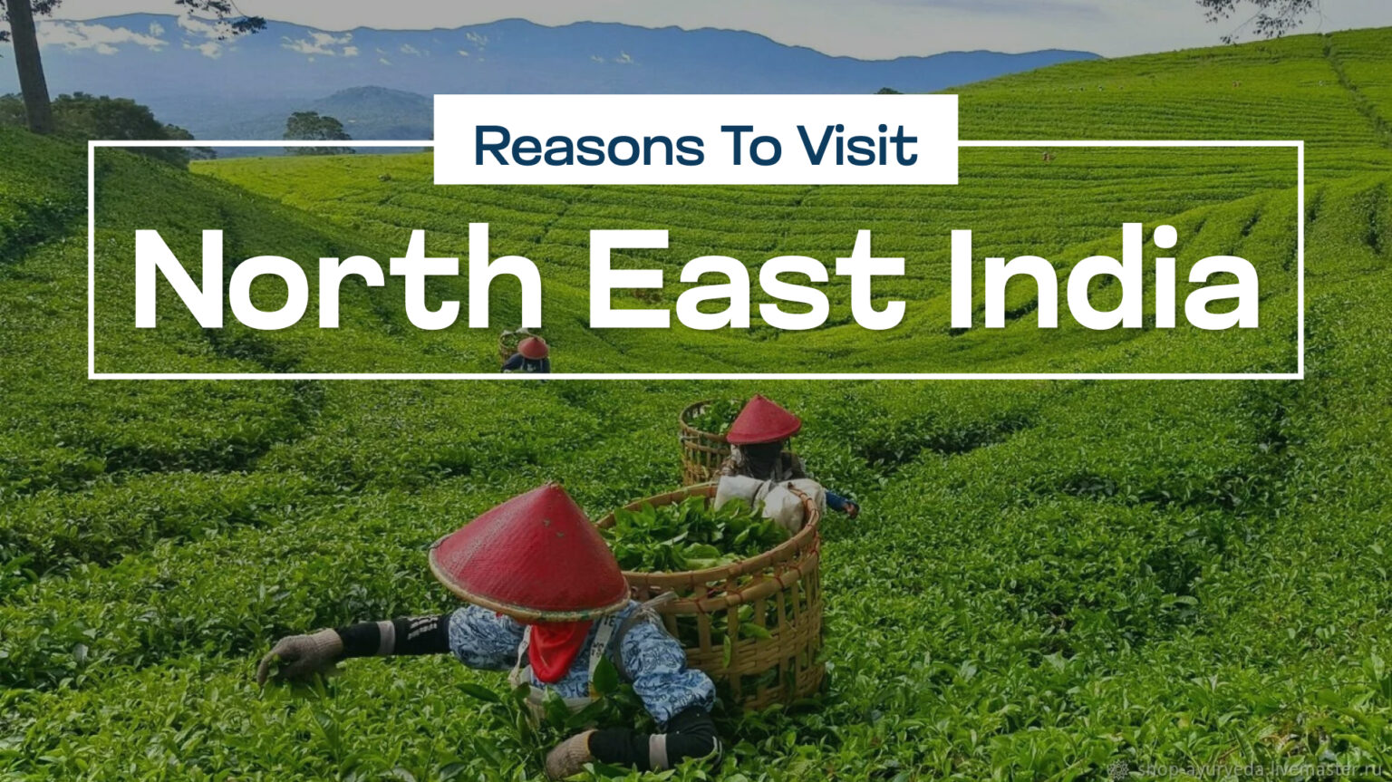 Reasons to Visit North East India ! Asia Tours