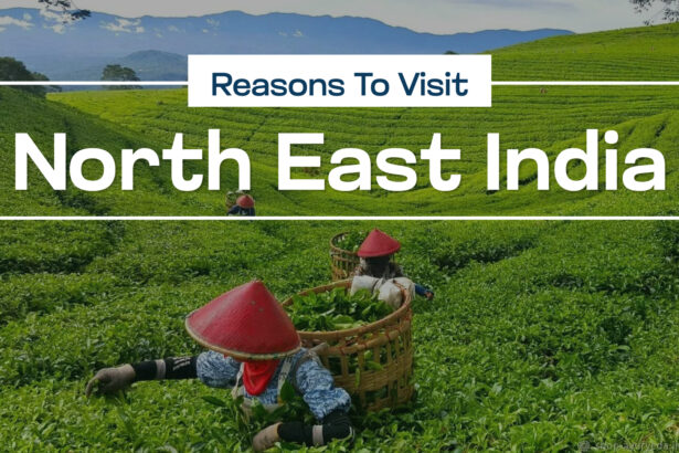 Reasons to Visit North East India